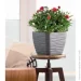  Form-Plastic     -17  3 