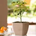  Form-Plastic     -17  3 