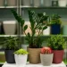  Form-Plastic    -19  3,4 