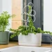 Form-Plastic Eco    (5907474366753)