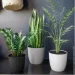 Form-Plastic     Turo Eco 15   1,4 