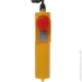  Forte  FPA250 (65748)