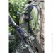   Frag  3-     