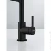    Franke Lina L Shape   (115.0725.838)