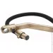    Frap       F4374-4, 