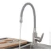    Frap    F4448   ,  (1036109)