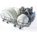  Freggia DWI4106