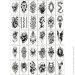 Fresh Tattoo     "  5" black-tattoo-mini-set-5-T