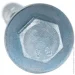 Friulsider     TSA-PATTEN 8 10x80  5 .