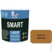 Ft Professional   SMART LASUR    2,3 