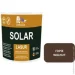 Ft Professional   SOLAR LASUR    2,3 