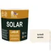 Ft Professional   SOLAR LASUR    2,3 