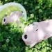 Fujifilm    Instax Mini 12  (CASE12PINK)