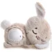  Funmuch   .  AI  ., ,   (FM666-65)
