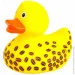    Funny Ducks      (1833)