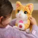 Furreal      (28141)