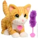 Furreal      (28141)