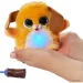 Furreal    Fuzz-A-Lots -  (28066)