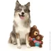 &apos;    FuzzYard   S (9345719062149)