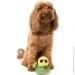 &apos;    FuzzYard   S (9345719107307)