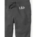   GAP Logo Grey (500382-00-L)