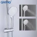 Gappo     G2490,  -   , 