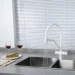    Gappo    G4398-88     , 