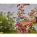  Gardena EasyCut 20  (12230-20.000.00)