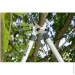  Gardena EasyCut 680B (12003-20.000.00)