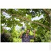  Gardena EasyCut 680B (12003-20.000.00)