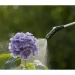   Gardena EasyPump     5 