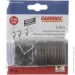 Gardinia ʳ Kira        d19   10 .
