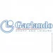   Garlando F-20 Evolution (F20NEULNO) (929886)