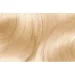 Garnier  110   110 