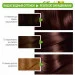  Garnier     /  5.12 (3600542335775)