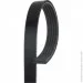   Gates 5PK761SF