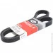   Gates 6PK2448