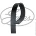   Gates 6PK905