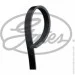   Gates GAT4PK798SF (4PK798SF)