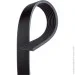  Gates GAT7PK1020 (7PK1020)