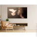 Gazer QLED TV50-UE2