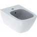 Geberit SMYLE Square     54,   (500.209.01.1)
