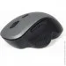  Gembird MUSW-6B-02-BG Grey