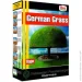 German Grass    1 
