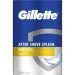 Gillette     Գ  100 (7702018620326)