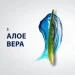 Gillette ѲвÅÇ Ãåëü ä/ã Çàñïîê³éëèâèé 200+ 40ìë (7702018982011) Gillette ѲвÅÇ Ãåëü ä/ã Çàñïîê³éëèâèé 200+ 40ìë (7702018982011)