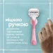 Gillette    Miami Sugarberry  1  