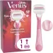 Gillette    Miami Sugarberry  1  