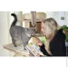  Gimcat grain-free 4. (4002064420530)