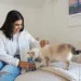 Gimcat  Nutri Pockets     60 (4002064419626)